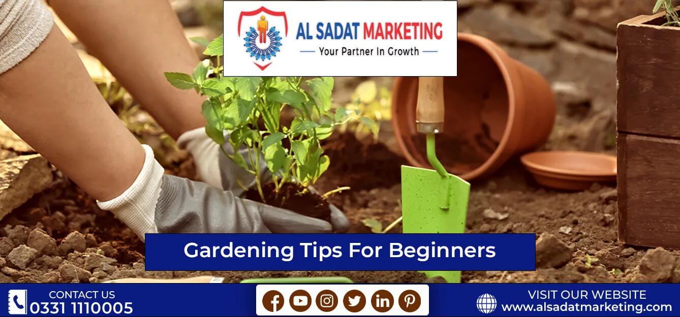 gardening tips for beginners in pakistan 2023 al sadat marketing
