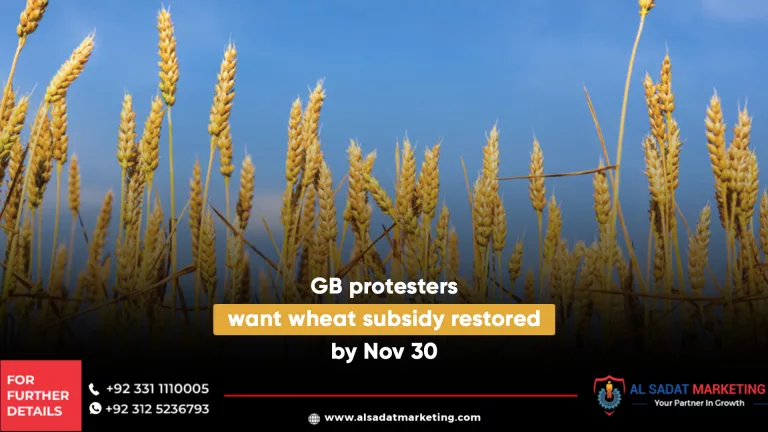 gb protesters want wheat subsidy restored by nov 30, al sadat marketing, real estate agency in blue area islamabad