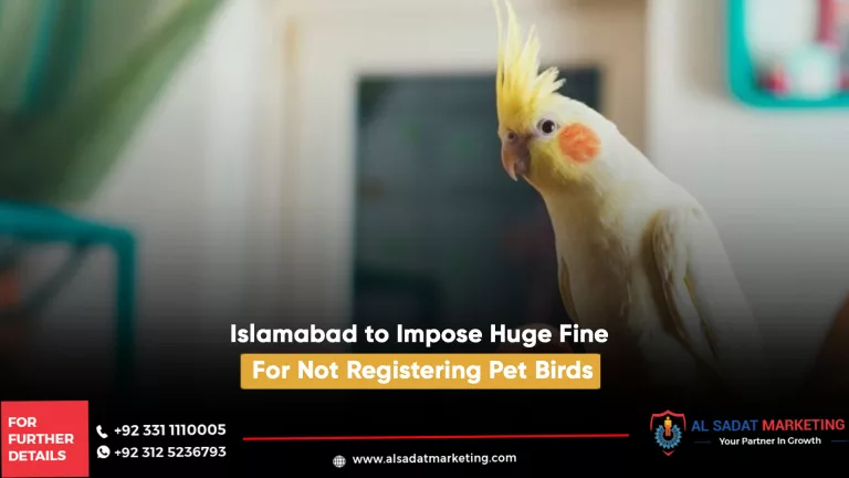 islamabad to impose huge fine for not registering pet birds, al sadat marketing, real estate agency in blue area islamabad