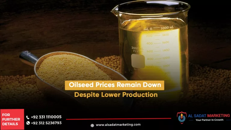 Oilseed Prices Remain Down Despite Lower Production, al sadat marketing, real estate agency in blue area islamabad