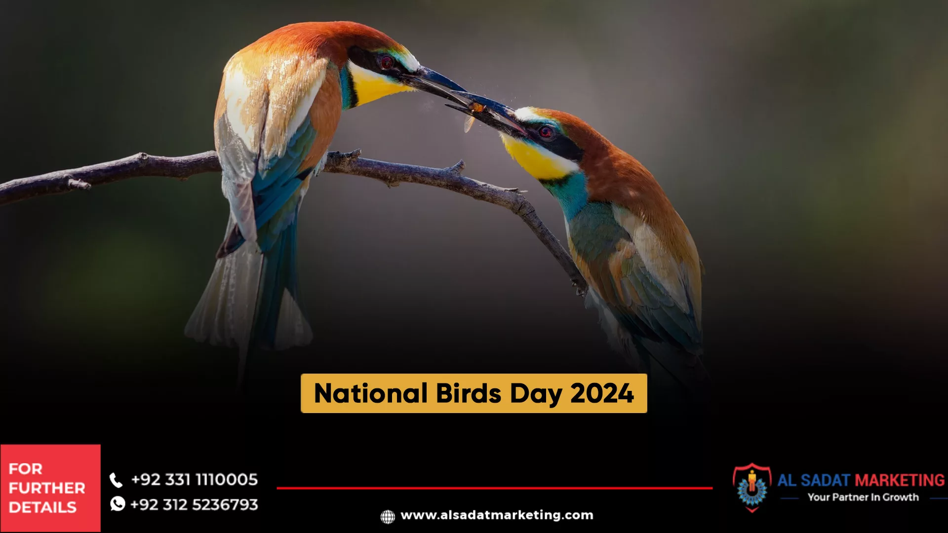 national birds day 2024, al sadat marketing, real estate agency in blue area islamabad pakistan