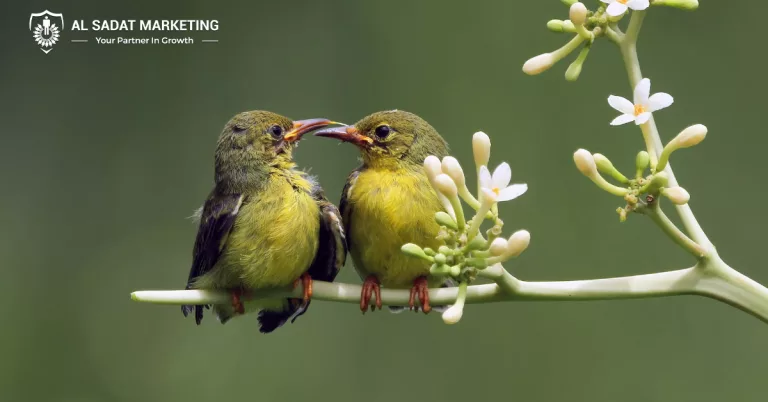 celebrating national birds day 2024, al sadat marketing, real estate agency in blue area islamabad pakistan