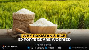 Why Pakistan's Rice Exporters Are Worried
