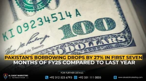 Pakistan’s Borrowing Drops 27% in First 7 Months of FY25