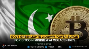 Govt Greenlights 2,000MW Power Surge for Bitcoin Mining & AI Megacentres