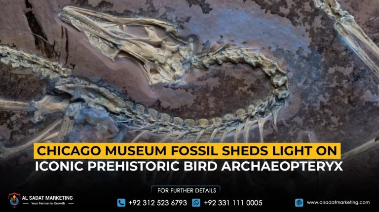 Chicago Museum Fossil Sheds Light on Iconic Prehistoric Bird Archaeopteryx