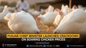 Punjab Chief Minister Launches Crackdown on Soaring Chicken Prices