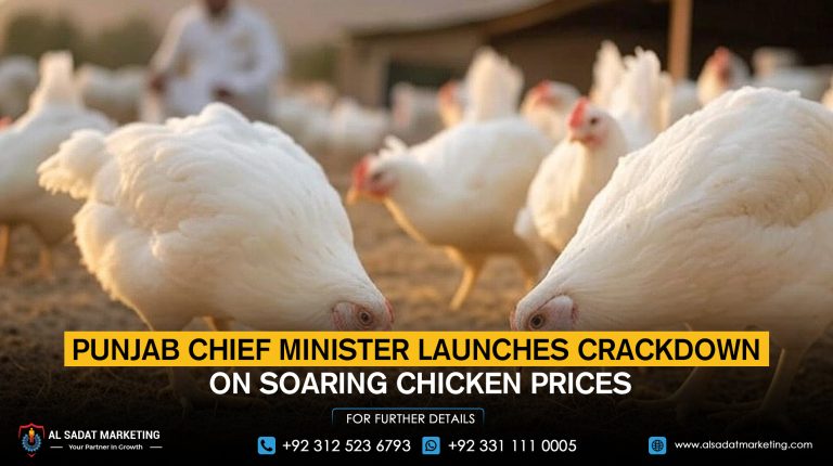 Punjab Chief Minister Launches Crackdown on Soaring Chicken Prices