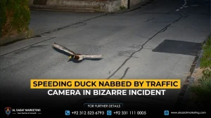 Speeding Duck Nabbed by Traffic Camera in Bizarre Incident