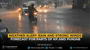 Weather Alert: Rain and Strong Winds Forecast for Parts of KP and Punjab