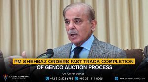 PM Shehbaz Orders Fast-Track Completion of Genco Auction Process