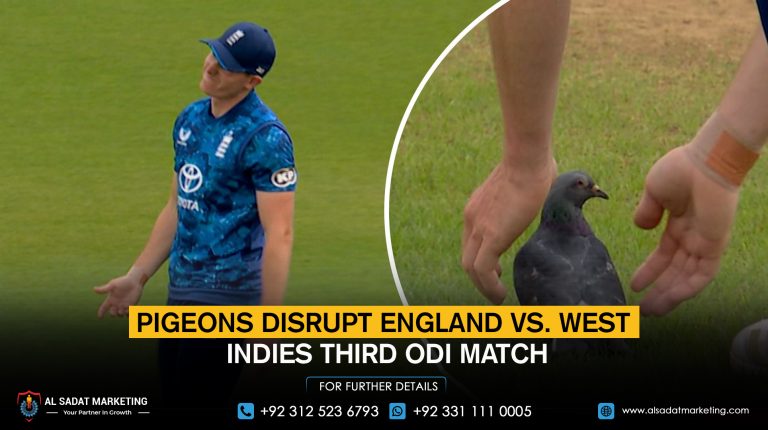 pigeons