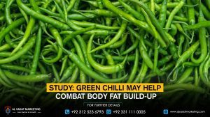 Study: Green Chilli May Help Combat Body Fat Build-Up