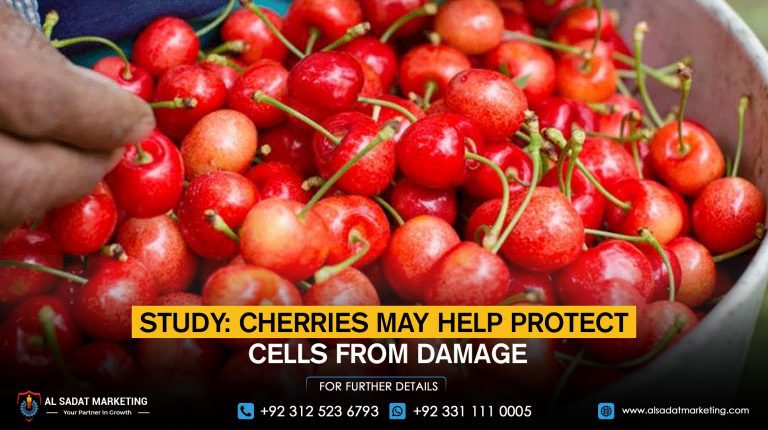 Study: Cherries May Help Protect Cells from Damage