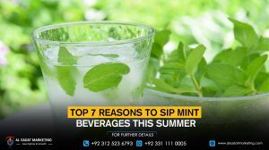 Top 7 Reasons to Sip Mint Beverages This Summer 
