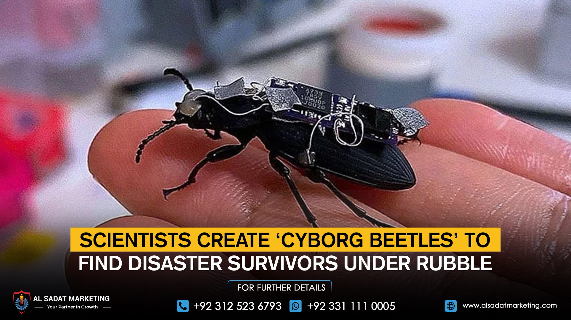 Scientists create ‘cyborg beetles’ to find disaster survivors under rubble