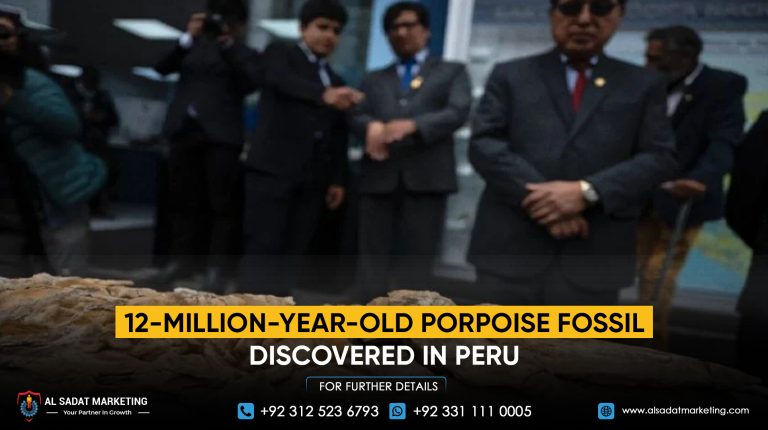 12-Million-Year-Old Porpoise Fossil Discovered in Peru