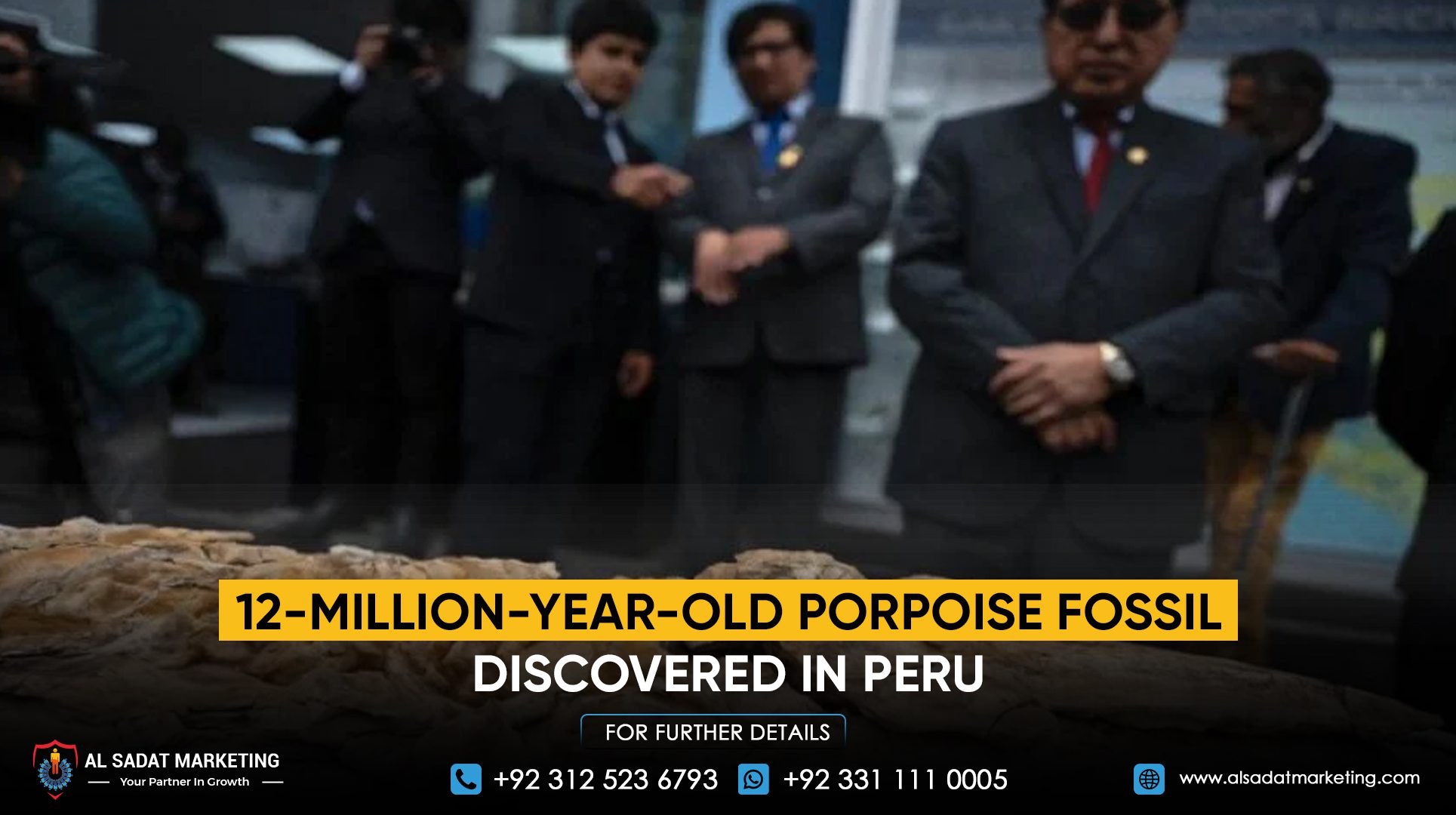 12-Million-Year-Old Porpoise Fossil Discovered in Peru