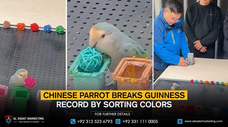 Chinese parrot breaks Guinness record by sorting colors