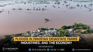 Floods in Pakistan devastate farms, industries, and the economy