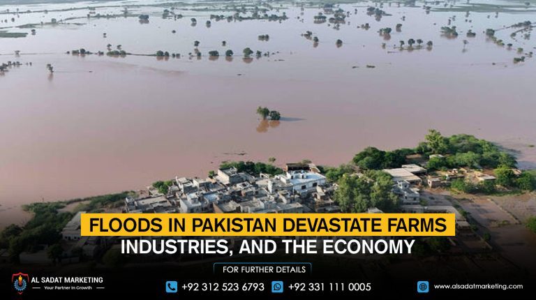 Floods in Pakistan devastate farms, industries, and the economy