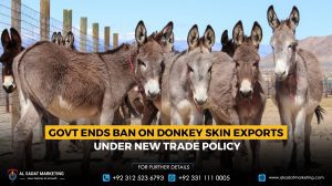 Govt Ends Ban on Donkey Skin Exports Under New Trade Policy