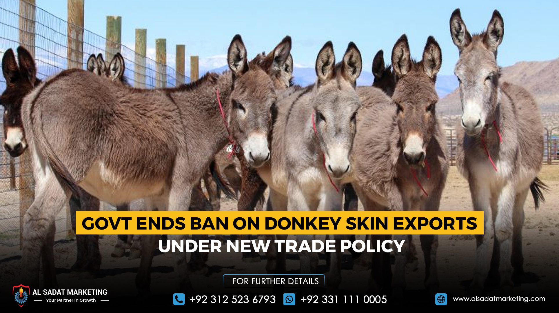 Govt Ends Ban on Donkey Skin Exports Under New Trade Policy
