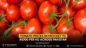 Tomato Prices Skyrocket to Rs700 per Kg Across Pakistan