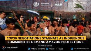 COP30 Negotiations Stagnate as Indigenous Communities Demand Amazon Protections