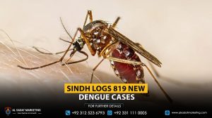 Sindh logs 819 new dengue cases