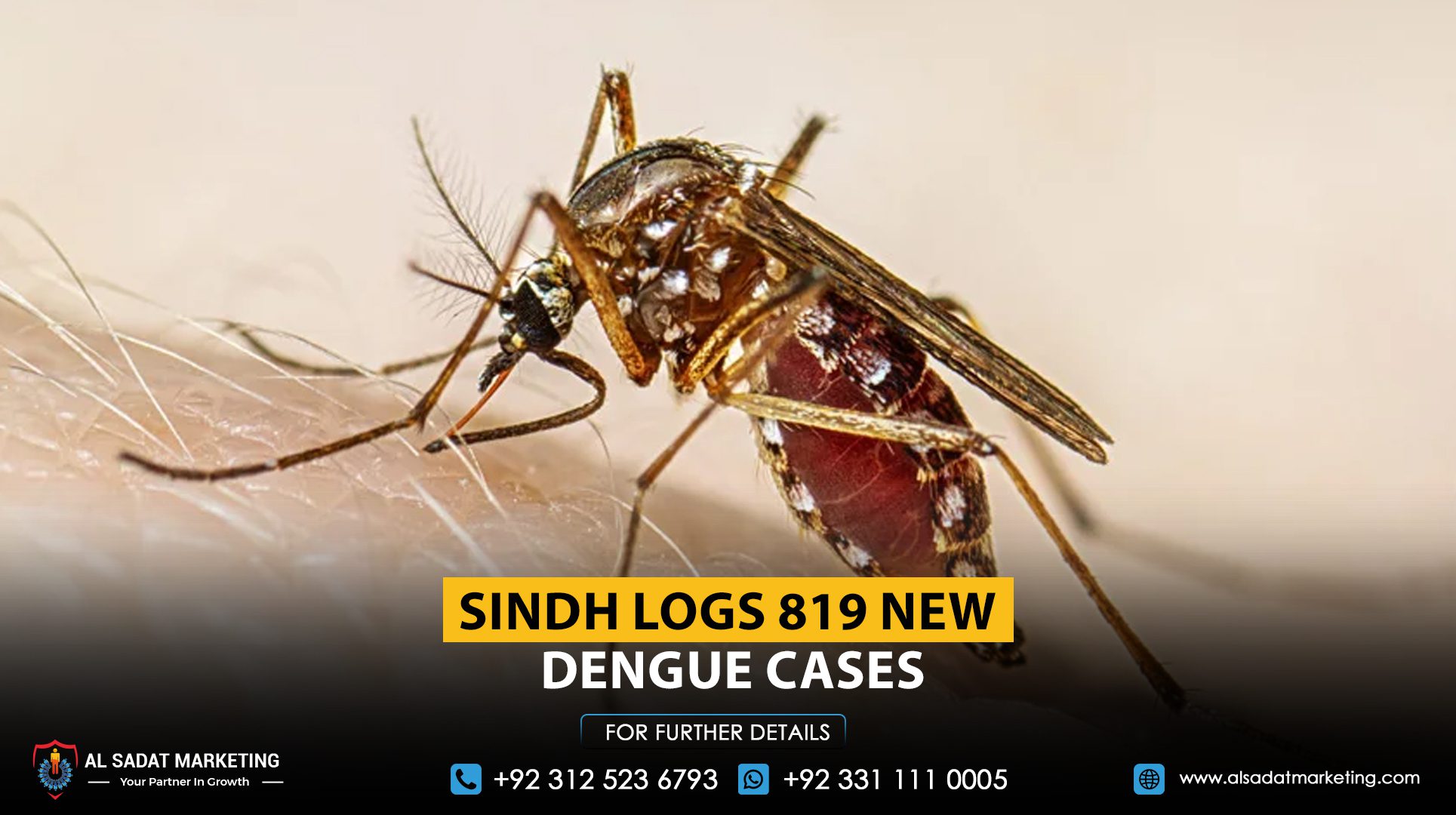 Sindh logs 819 new dengue cases