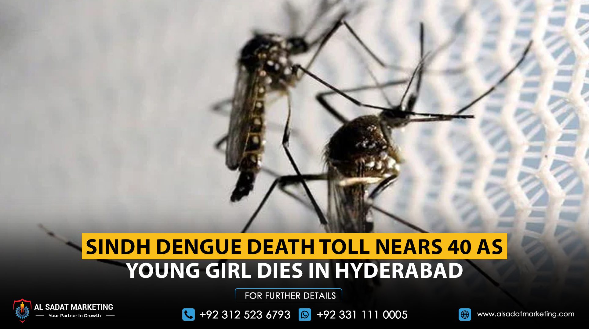Sindh Dengue Death Toll Nears 40 as Young Girl Dies in Hyderabad