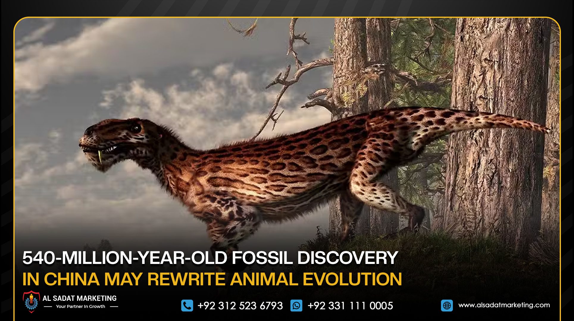 540-Million-Year-Old Fossil Discovery in China May Rewrite Animal Evolution