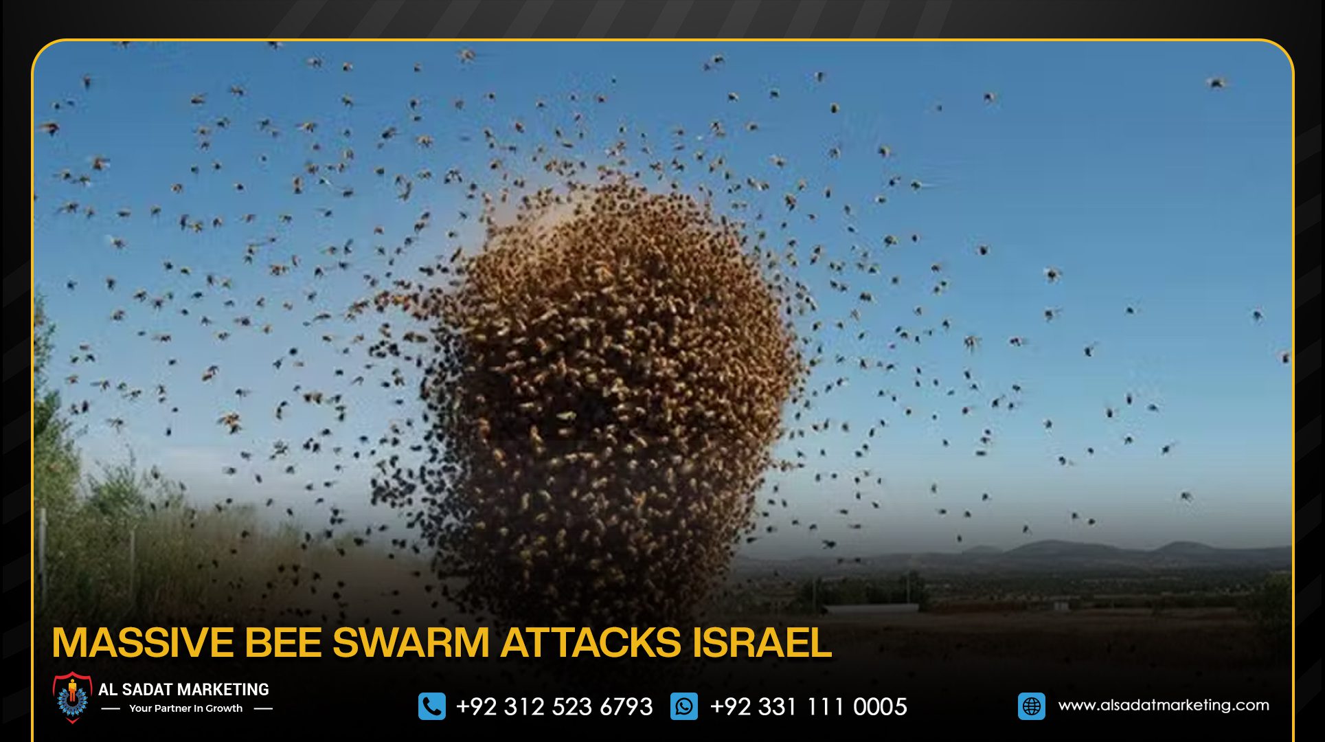 Massive Bee Swarm Attacks Israel