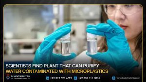 Scientists Find Plant That Can Purify Water Contaminated With Microplastics