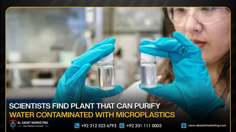 Scientists Find Plant That Can Purify Water Contaminated With Microplastics