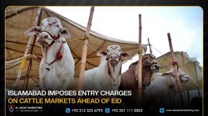 Islamabad Imposes Entry Charges on Cattle Markets Ahead of Eid