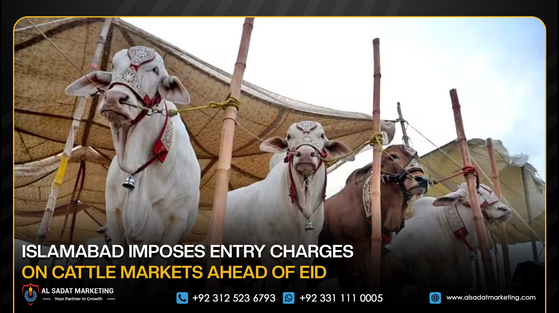 Islamabad Imposes Entry Charges on Cattle Markets Ahead of Eid