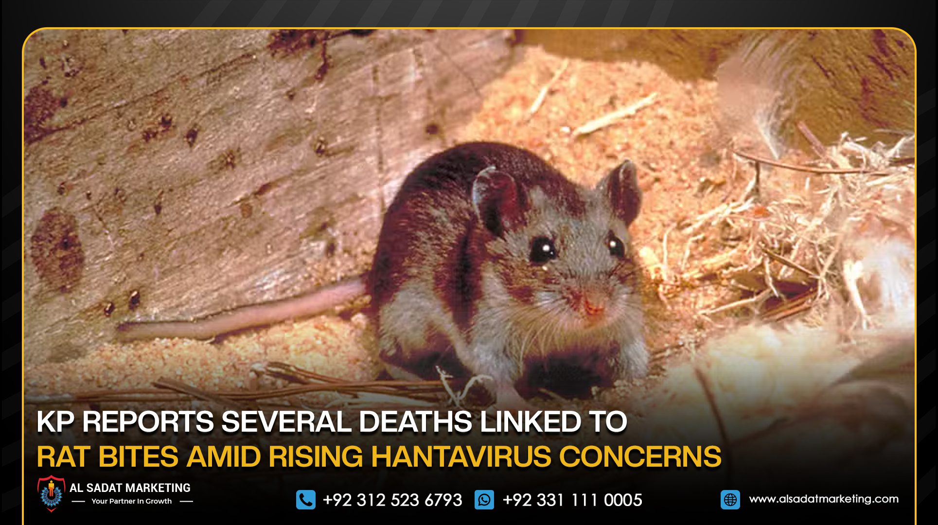 KP Reports Several Deaths Linked to Rat Bites Amid Rising Hantavirus Concerns