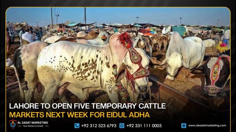 Lahore to open five temporary cattle markets next week for Eidul Adha
