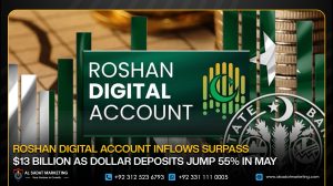 Roshan Digital Account Inflows Surpass $13 Billion as Dollar Deposits Jump 55% in May