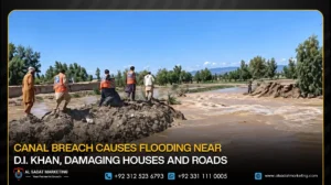 Canal Breach Causes Flooding Near D.I. Khan, Damaging Houses and Roads